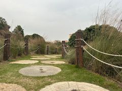 -红花山公园