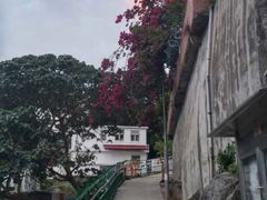 -南丫岛