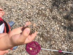 -碓臼峪自然风景区