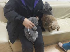 -宠颐生中康贝怡动物医院