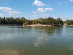 -盐城丹顶鹤湿地生态旅游区