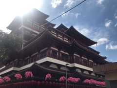-新加坡佛牙寺龙华院