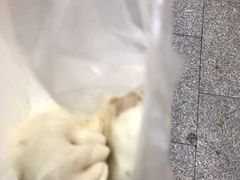 -陈公包子(文化西路店)