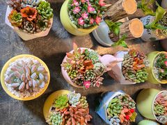 -双季花艺园艺市场(浦东店)