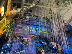 -正佳雨林生态植物园