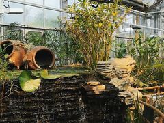 -国家植物园南园