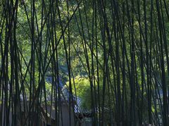 -兰亭风景区