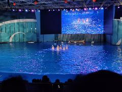 -海合安青岛极地海洋公园