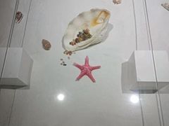 -贝壳王国博物馆