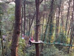 -芦仙山景区-飞越丛林探险乐园