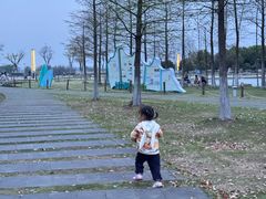 -滆湖低碳生态公园
