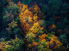 -洛阳白云山景区