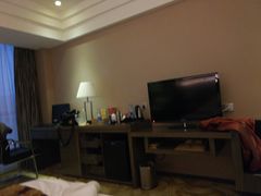 -东方帝景假日酒店