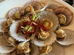 -船歌·鱼水饺青岛菜(石老人店)