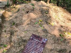 -西双版纳基诺山寨