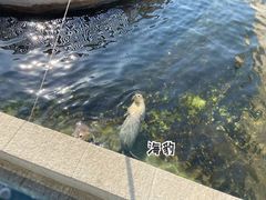 -太原动物园