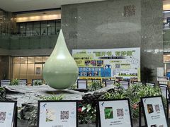 -金陵图书馆