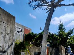 -得丘礼享谷·玉兰苑