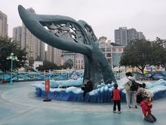 -海合安成都极地海洋公园