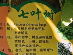-盛世南宫影视城(北普陀影视城)