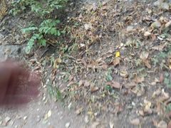 -原山国家森林公园