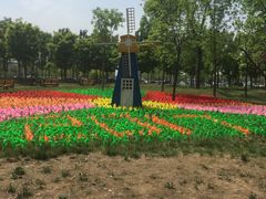 -武清南湖绿博园