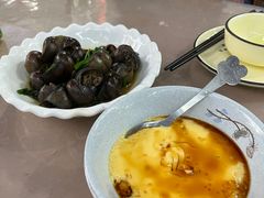 -遇龙河大樟树农家乐