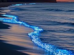 -西涌国际滨海旅游区