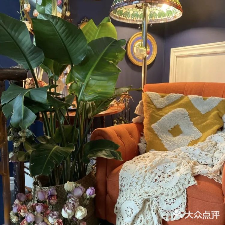 星巴克很香，但有了这些绿植的家更香