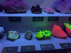 -湖南省地质博物馆