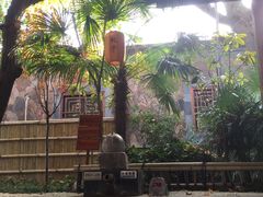 -西安国际创新人才交流中心•药浴温泉