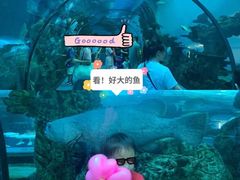 -乐从天佑城海洋馆