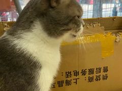 -芭比堂动物医院(广州爱宠下渡路分院)