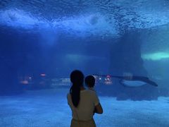 -常州海昌海洋探索馆