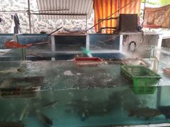 -鹿福农庄(南沙天后宫店)