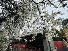 -潭柘寺景区