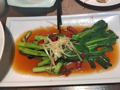 -俏东方·海味水饺·青岛菜(崂山店)
