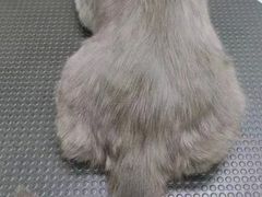 -沐沐家宠物(成寿寺店)