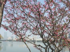 -石湖景区