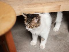 -五月木作·DIY木作文创体验店(北京路店)