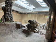 -宁波野生动物园