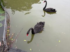 -洛阳市隋唐城遗址植物园