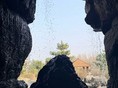 -郑州植物园