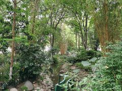 -成都市活水公园