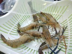 -蚝专家