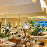 来IFS看花花🐼吃波龙🦞冬阴功火锅啦~