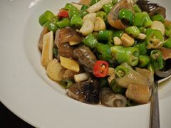 -碧丽宫大酒店(召稼楼店)