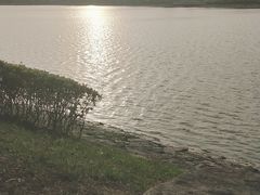 -羊山湖公园
