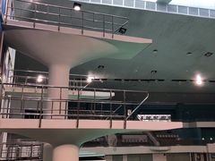 -重庆市奥林匹克体育中心-游泳跳水馆