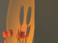 -良子健身(金融街店)